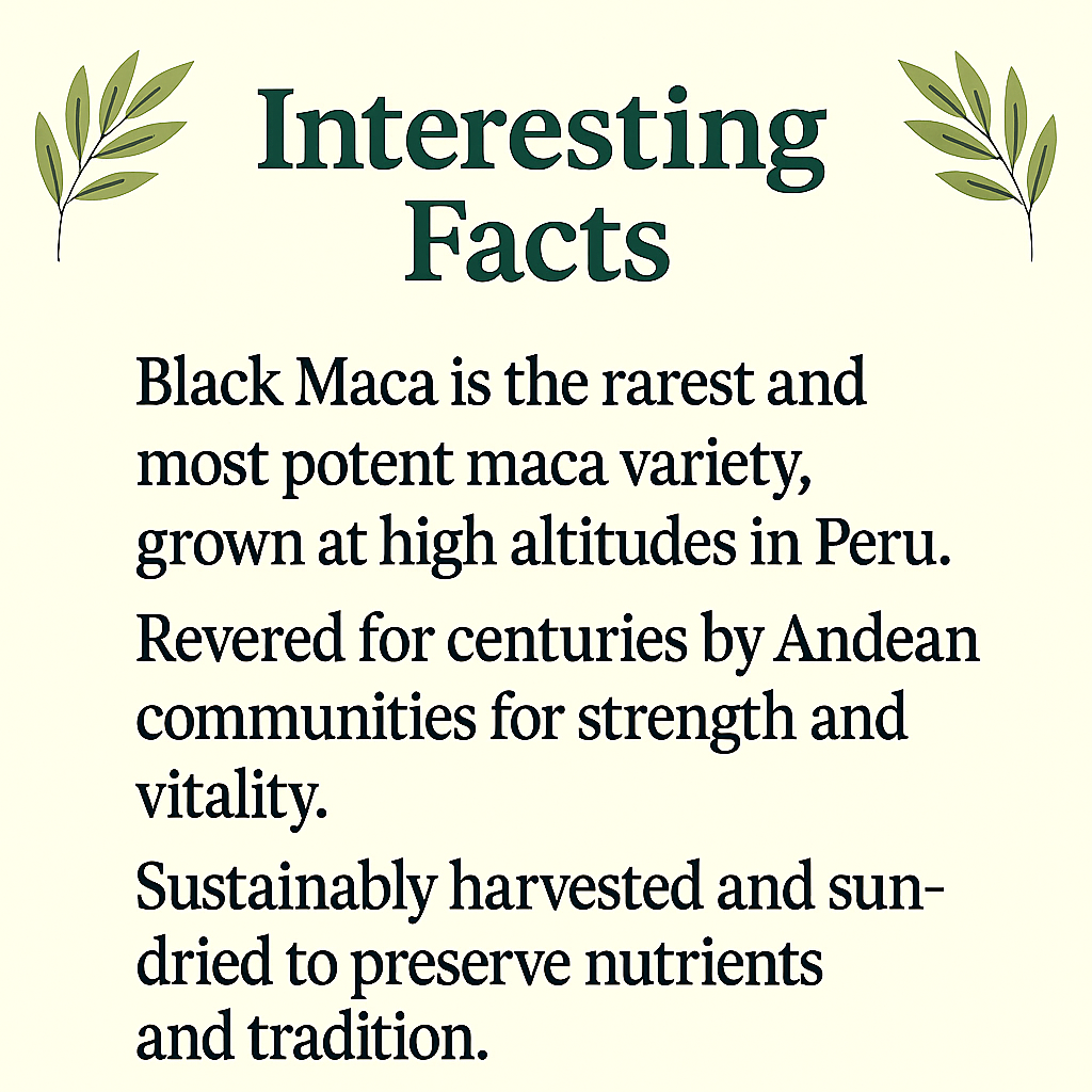 Black Maca Capsules | Natural Energy & Memory Support | Lepidium meyenii | Vegan, Non-GMO, Plant-Based Supplement