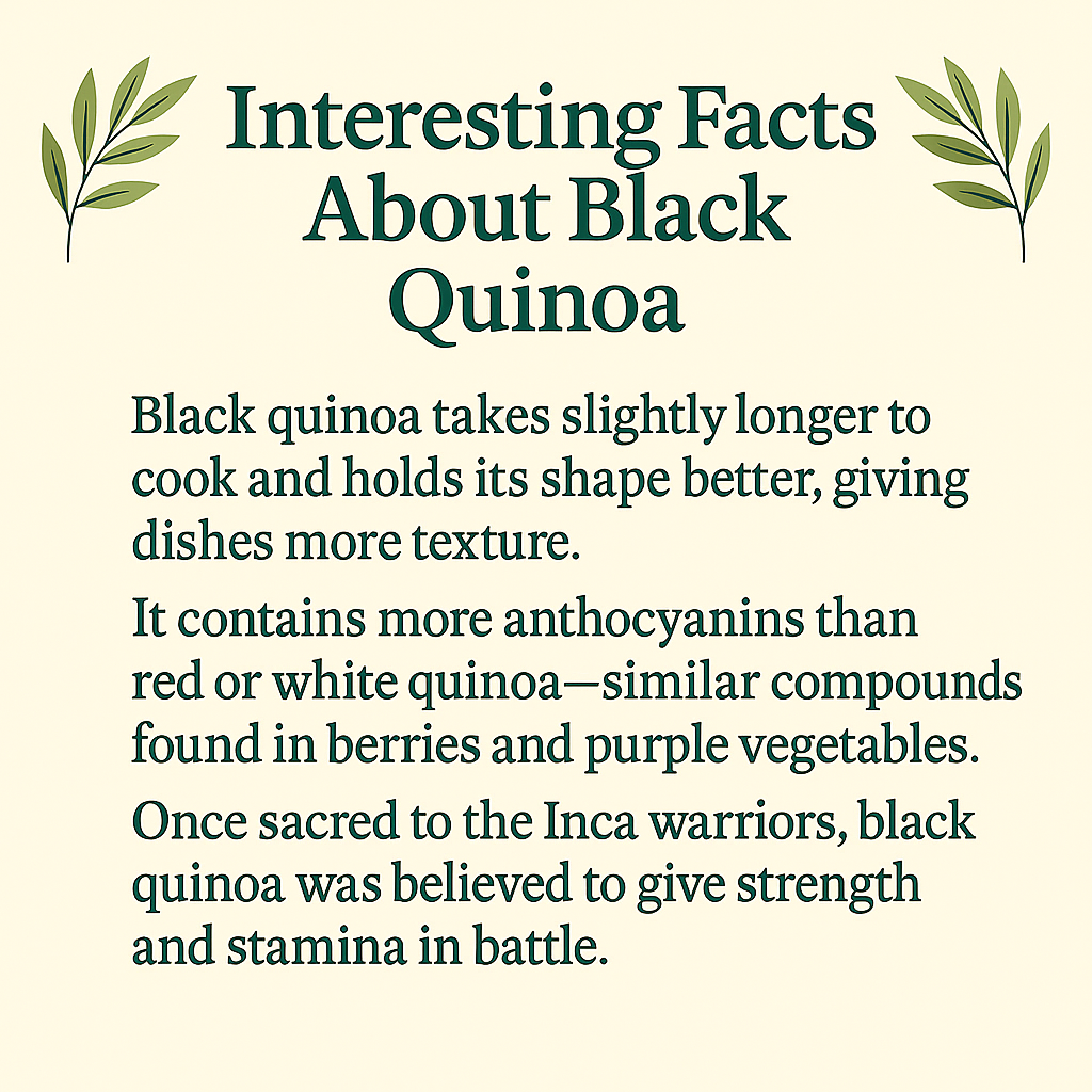 Black Quinoa, Organic Andean Supergrain, High Protein and Fiber, Vegan, Gluten-Free, Non-GMO, Whole Plant-Based Food