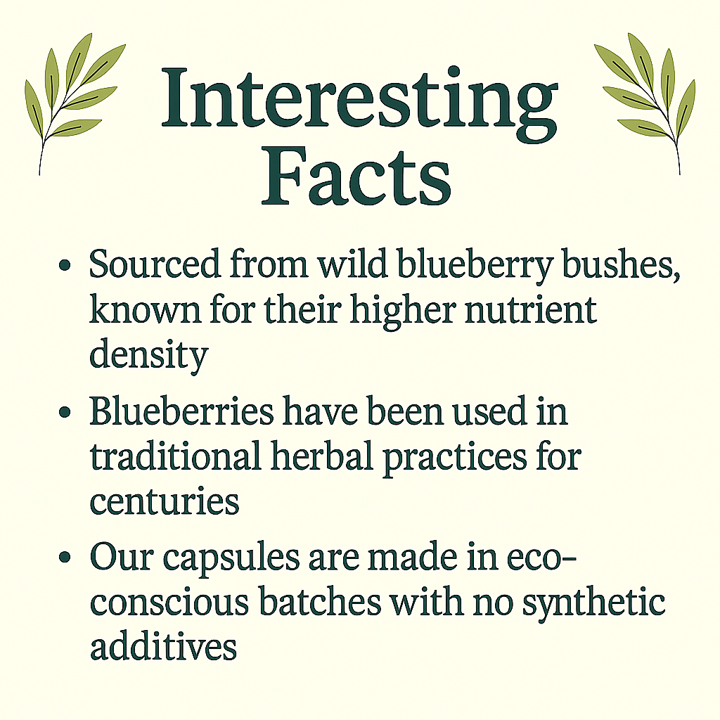 Organic Blueberry Capsules – Natural Antioxidant Support – Vegan, Non-GMO, Wild-Harvested Berry Supplement