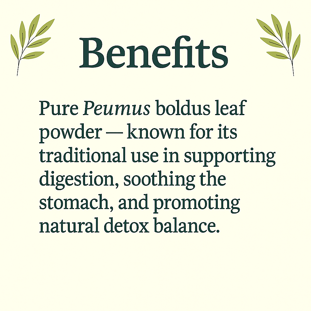 Organic Boldo Capsules – Peumus boldus – Herbal Digestive Support – Vegan, Non-GMO, Natural Supplement