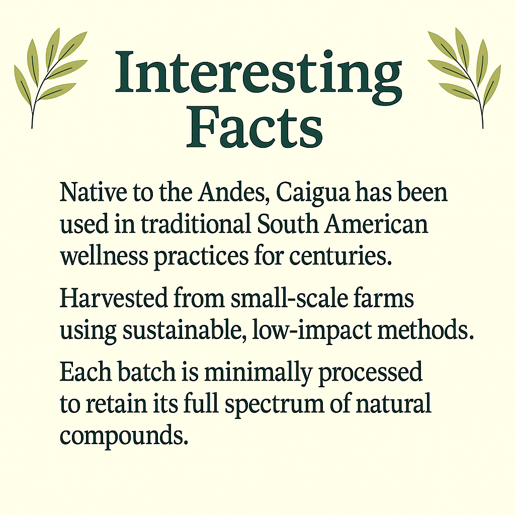 Caigua Capsules | Organic Natural Supplement | Vegan, Non-GMO, Gluten-Free | Supports Metabolism & Heart Health