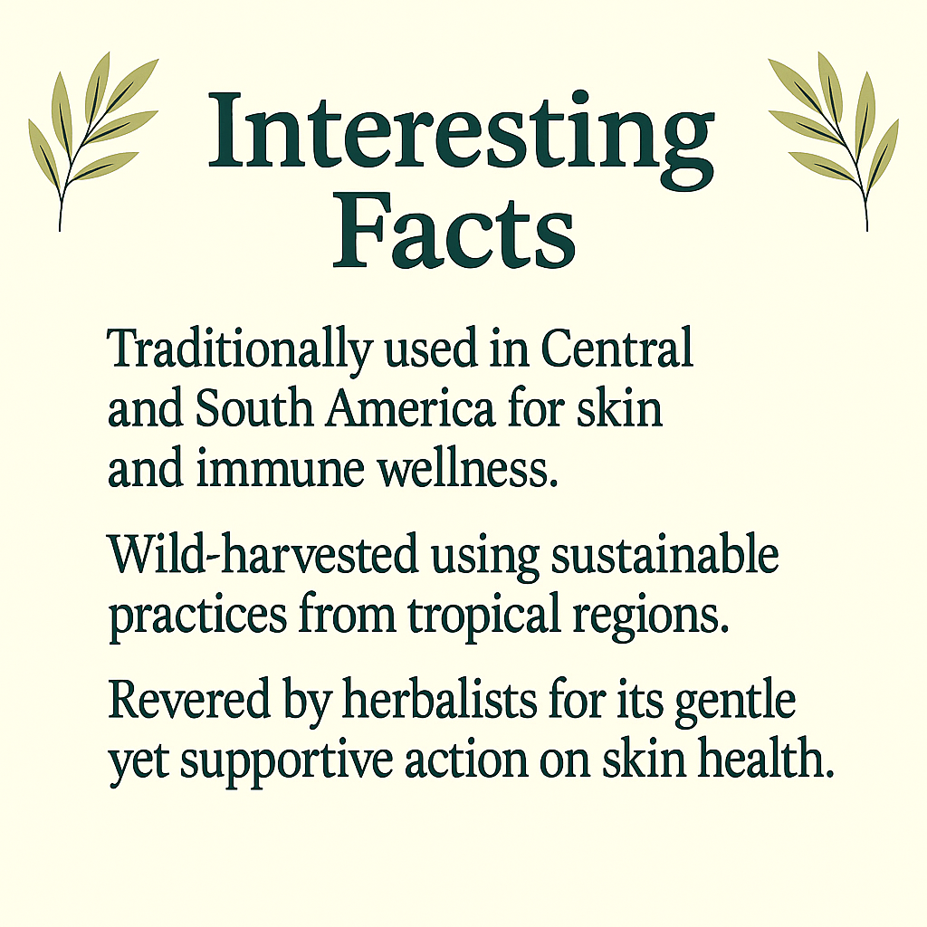 Calaguala Capsules | Wildcrafted Natural Supplement | Vegan, Non-GMO, Gluten-Free | Supports Skin & Immune Health