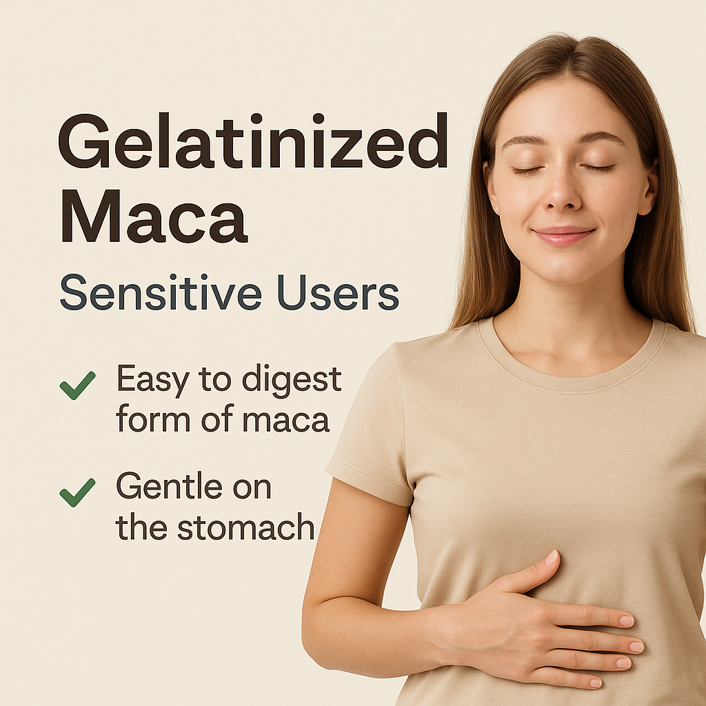Gelatinized Maca Capsules | Lepidium Peruvianum | Easy to Digest, Energizing, Vegan, Non-GMO, Natural Adaptogen