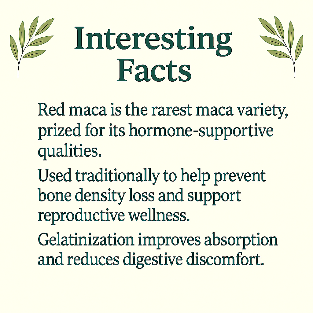 Gelatinized Red Maca Capsules | Hormonal & Bone Support | Lepidium Peruvianum | Vegan, Non-GMO, Natural Antioxidant