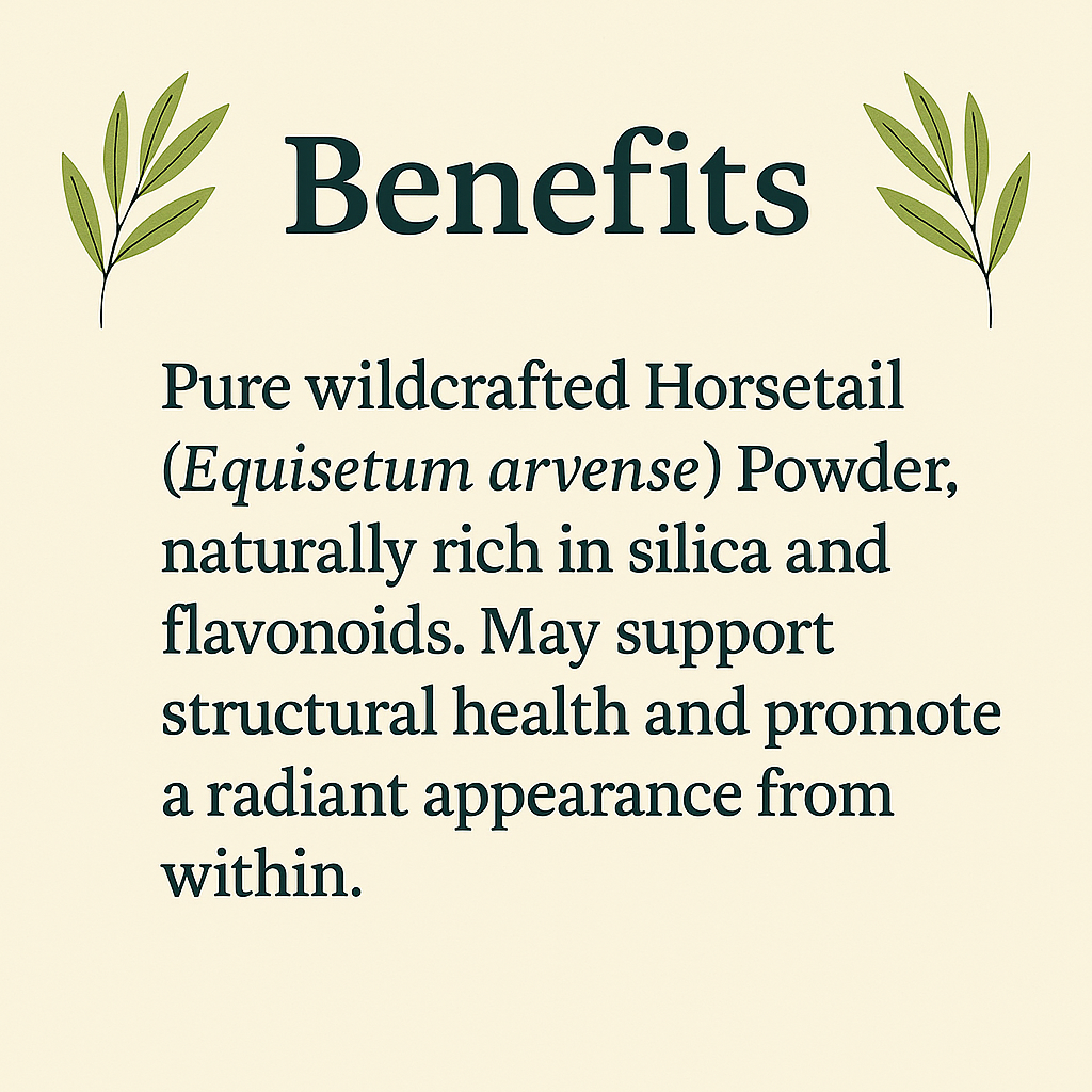 Organic Horsetail Powder – Natural Silica Supplement, Wildcrafted, Vegan, Non-GMO