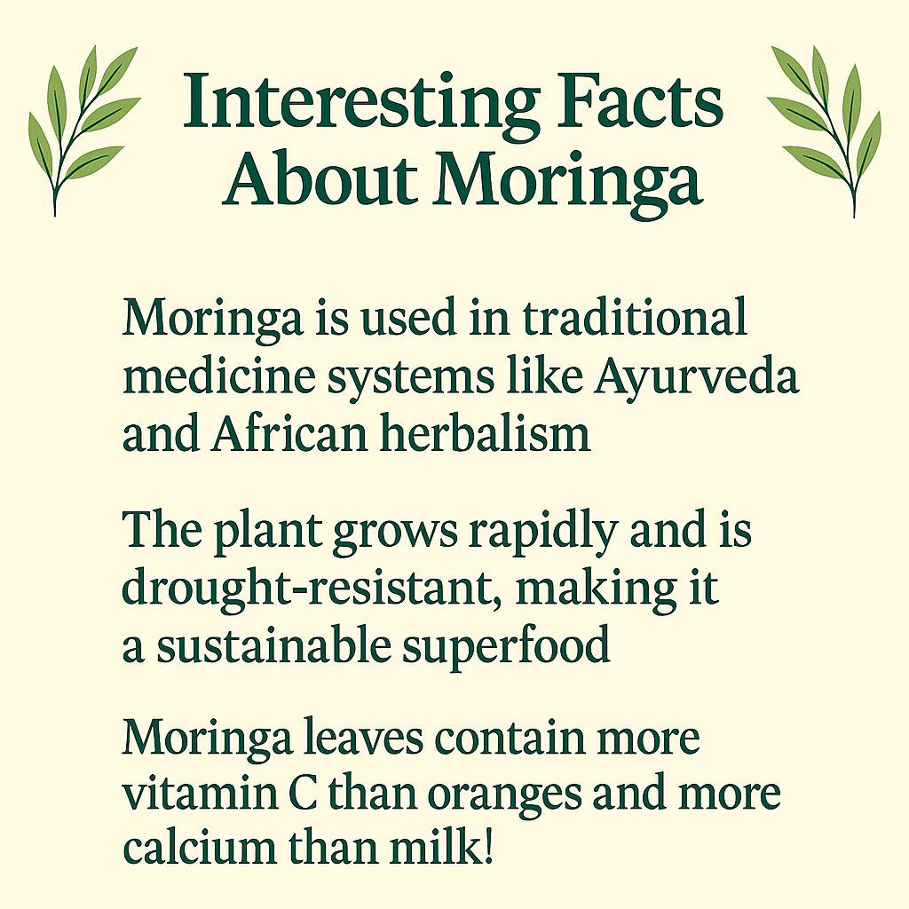 Moringa Powder, Organic Superfood Leaf, Vegan, Non-GMO, Natural Energy and Immune Support, Green Nutrient-Rich Supplement