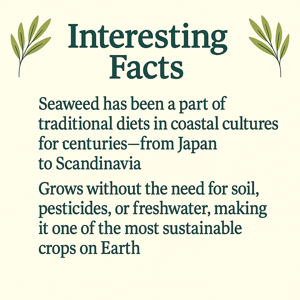 Organic Seaweed Capsules – Natural Iodine & Mineral Support · Vegan · Non-GMO Superfood Supplement