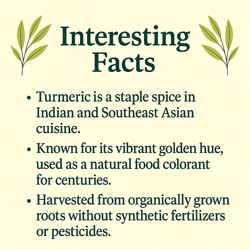 Organic Turmeric Powder – 100% Natural Ground Root, Vegan, Non-GMO, Golden Superfood