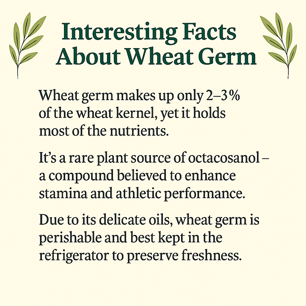 Wheat Germ, Natural Source of Vitamin E and Fiber, Non-GMO, Plant-Based, Vegan, Nutrient-Rich Whole Food Ingredient