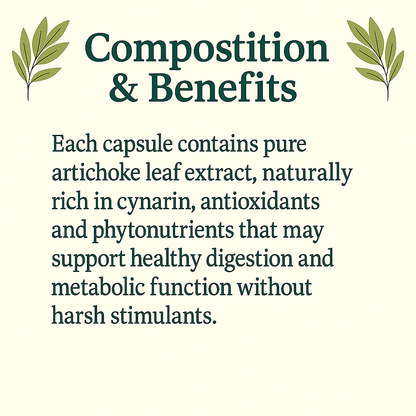 Organic Artichoke Capsules – Natural Liver & Digestive Support · Vegan · Non‑GMO Herbal Supplement