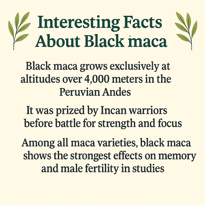 Black Maca Powder, Gelatinized Peruvian Superfood, Vegan, Non-GMO, Natural Energy and Hormone Support