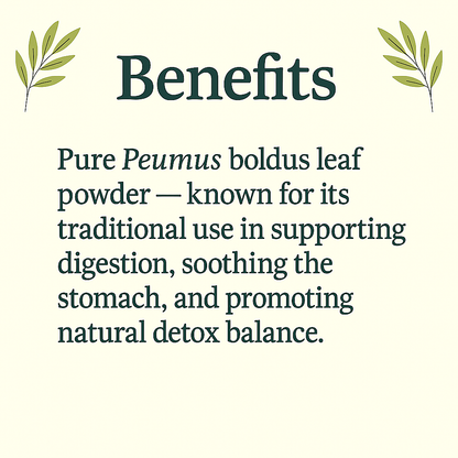 Organic Boldo Capsules – Peumus boldus – Herbal Digestive Support – Vegan, Non-GMO, Natural Supplement