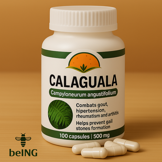 Calaguala Capsules | Wildcrafted Natural Supplement | Vegan, Non-GMO, Gluten-Free | Supports Skin & Immune Health