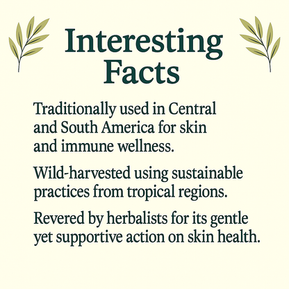 Calaguala Capsules | Wildcrafted Natural Supplement | Vegan, Non-GMO, Gluten-Free | Supports Skin & Immune Health