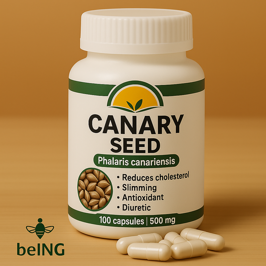 Organic Canary Seed Capsules – Alpiste Plant‑Based Protein & Metabolic Support · Vegan · Non‑GMO Superfood
