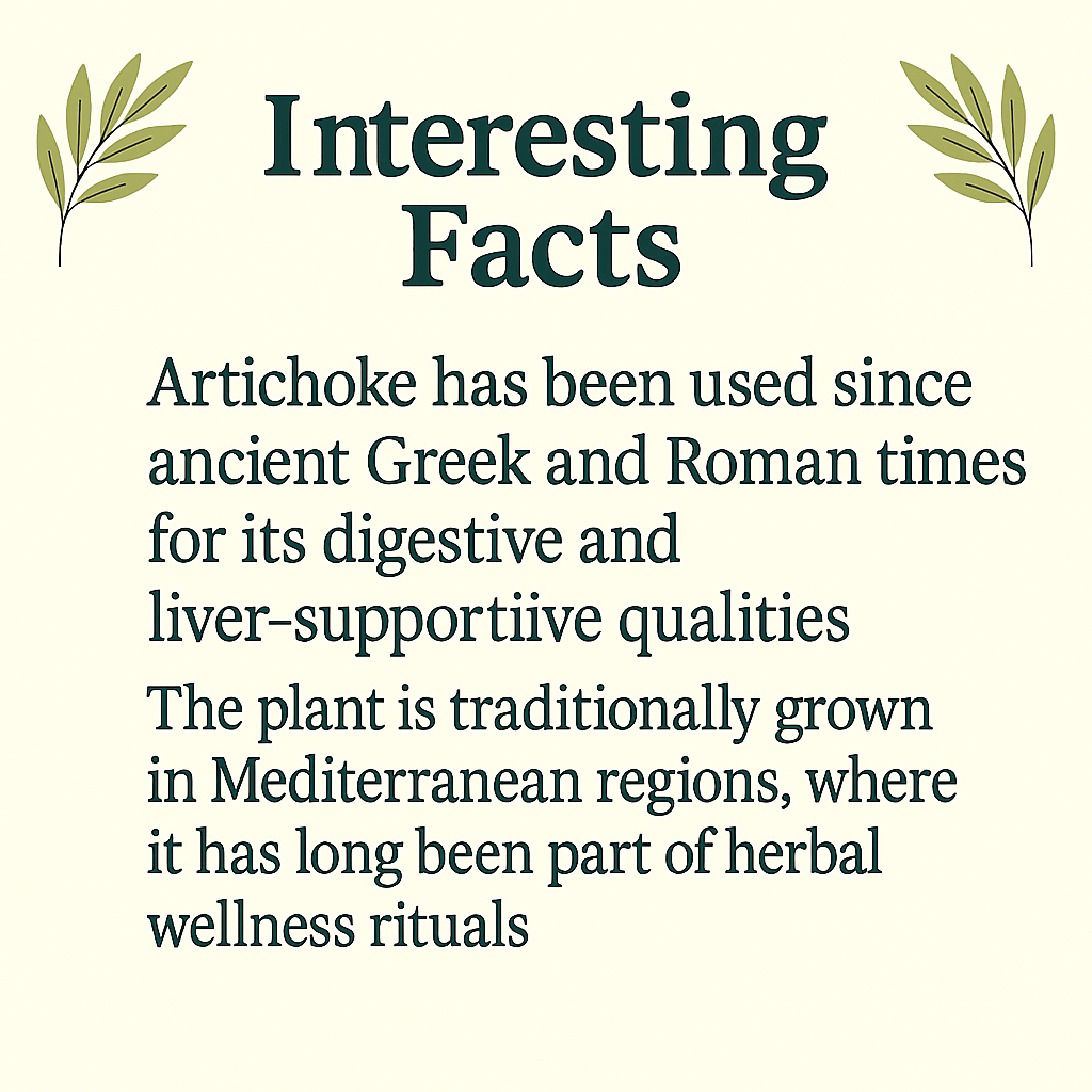 Organic Artichoke Capsules – Natural Liver & Digestive Support · Vegan · Non‑GMO Herbal Supplement