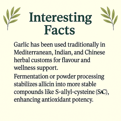 Organic Garlic Capsules – Vegan, Non‑GMO, Natural Garlic Supplement with Allicin Support