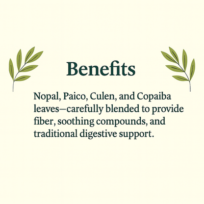 Organic Gastrisan Herbal Powder – Nopal, Paico, Culen & Copaiba Leaves | Natural Digestive Cleanse & Gut Support | Vegan, Non-GMO, Eco-Friendly Supplement