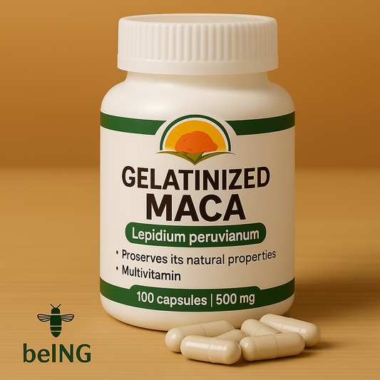 Gelatinized Maca Capsules | Lepidium Peruvianum | Easy to Digest, Energizing, Vegan, Non-GMO, Natural Adaptogen