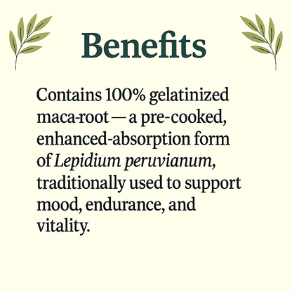 Gelatinized Maca Capsules | Lepidium Peruvianum | Easy to Digest, Energizing, Vegan, Non-GMO, Natural Adaptogen