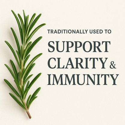 Rosemary Powder, Natural Culinary and Herbal Ingredient, Vegan, Non-GMO, Dried Herb, Aromatic Seasoning and Tea Blend