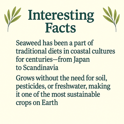 Organic Seaweed Capsules – Natural Iodine & Mineral Support · Vegan · Non-GMO Superfood Supplement