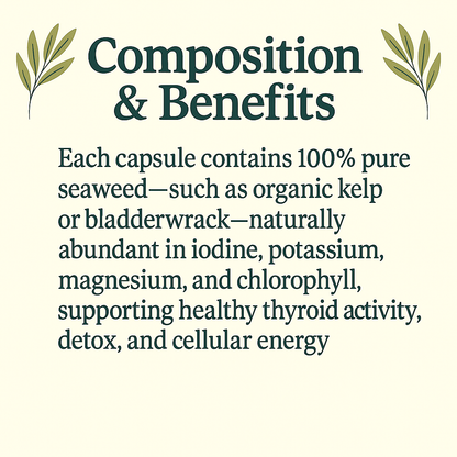Organic Seaweed Capsules – Natural Iodine & Mineral Support · Vegan · Non-GMO Superfood Supplement