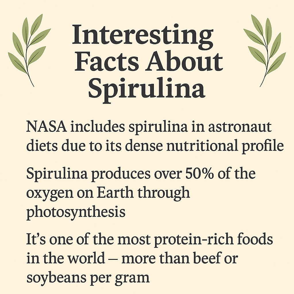 Organic Spirulina Powder, Vegan, Non-GMO, Raw Superfood, Natural Protein & Iron Source, Plant-Based Supplement